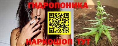 прущие крисы Боровичи