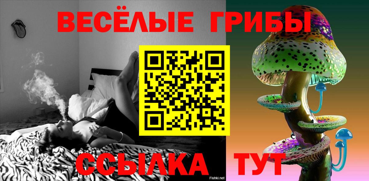 Галлюциногенные грибы Psilocybine cubensis  Псилоцибиновые грибы Magic Shrooms  Вход с VPN  Тамбов 