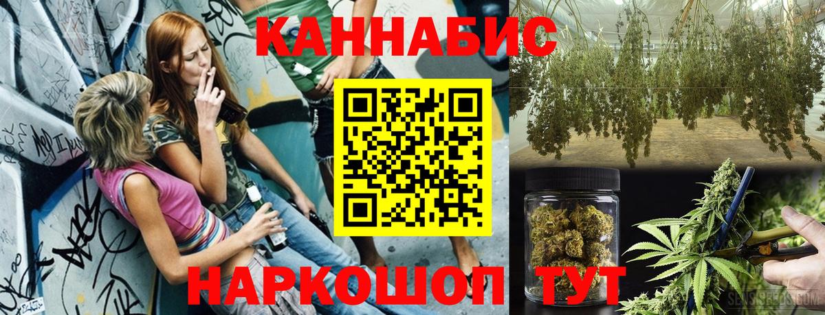 Бошки Шишки марихуана Тамбов